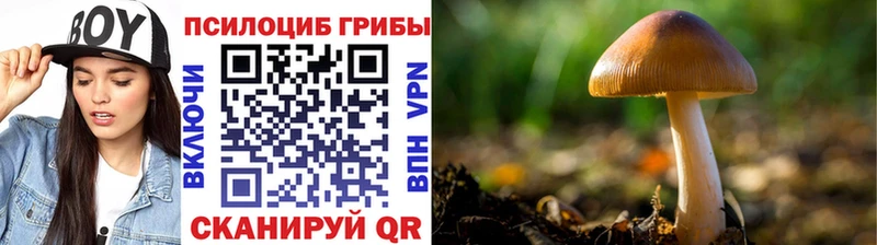 Псилоцибиновые грибы Cubensis  наркошоп  Туринск 